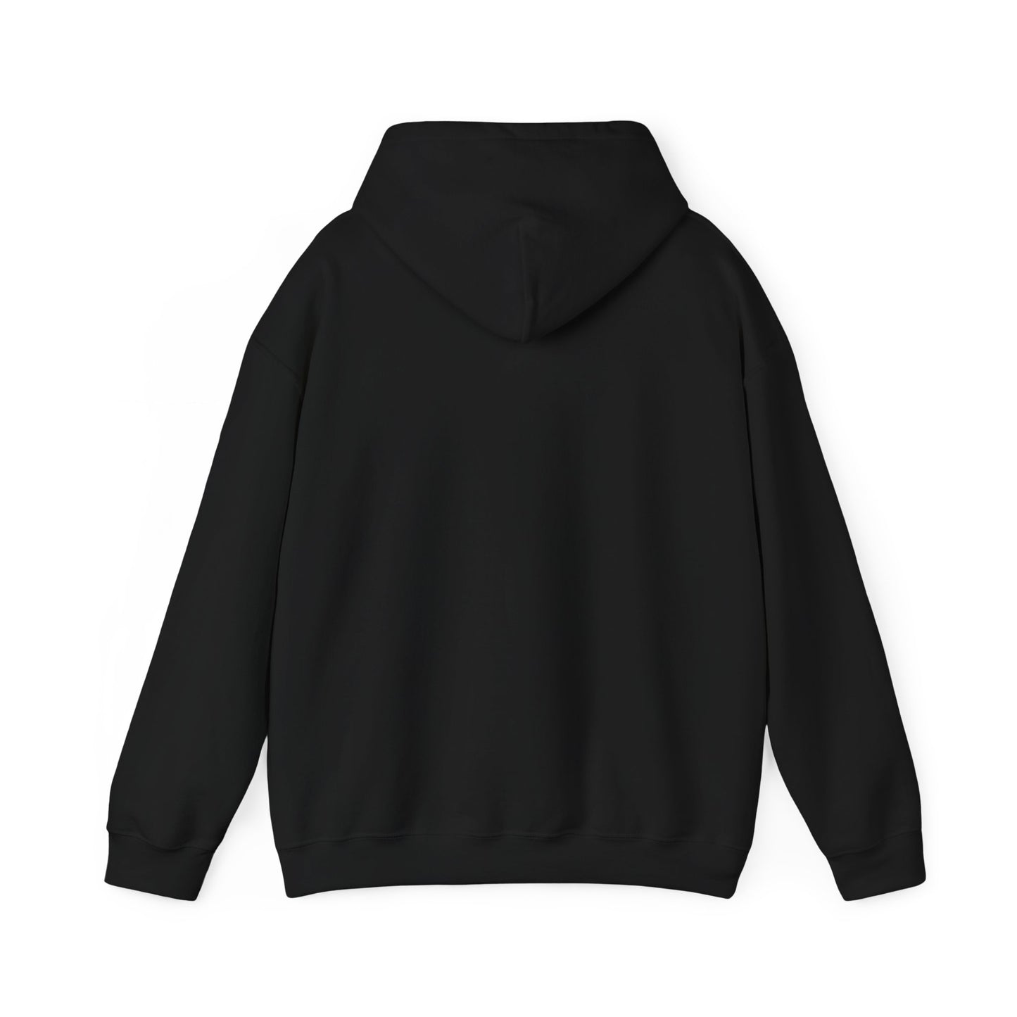 Blackfeeling494 The Struggle Continues Hooded Sweatshirt